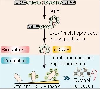 權威認定！大工校友企業榮膺工信部首批“卓越級智能工廠”及“實數融合典型案例”雙項榮譽